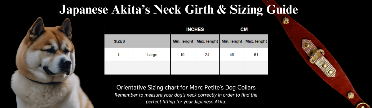 japanese akita neck size and sizing guide