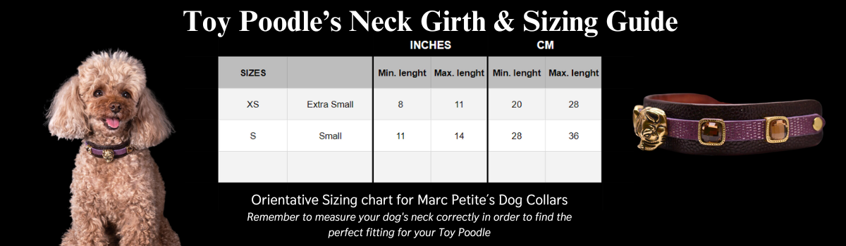 toy poodle neck girth and sizing guide