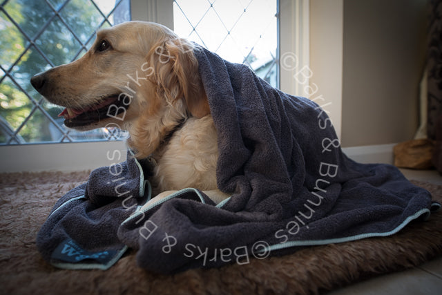 Henry Wag Microfibre Dog Towel Review | Barks & Bunnies