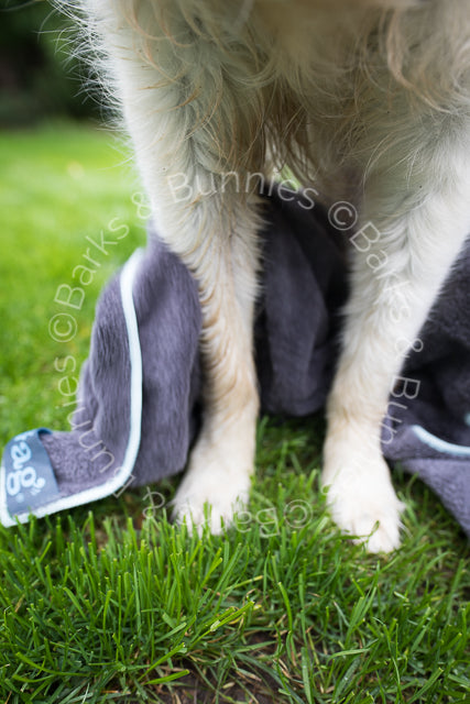 Henry Wag Microfibre Super Absorbent Dog Towel Review | Barks & Bunnies