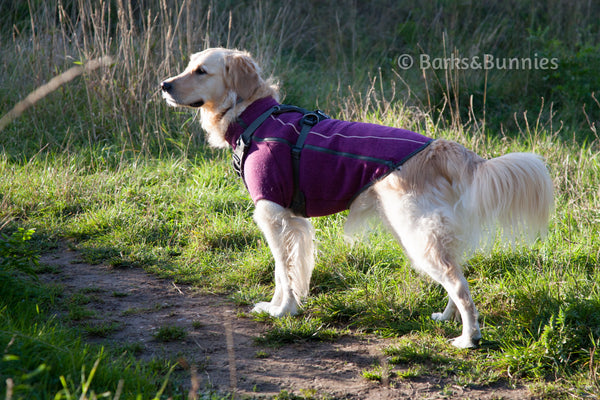 ruffwear sweater