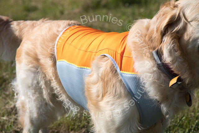Ruffwear Jet Stream Cooling Vest Review, Dog Cooling Coat | Barks & Bu ...