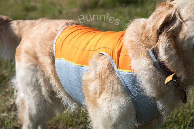 Ruffwear Jet Stream Cooling Vest Review Salamander Orange, Dog Cooling Coat | Barks & Bunnies