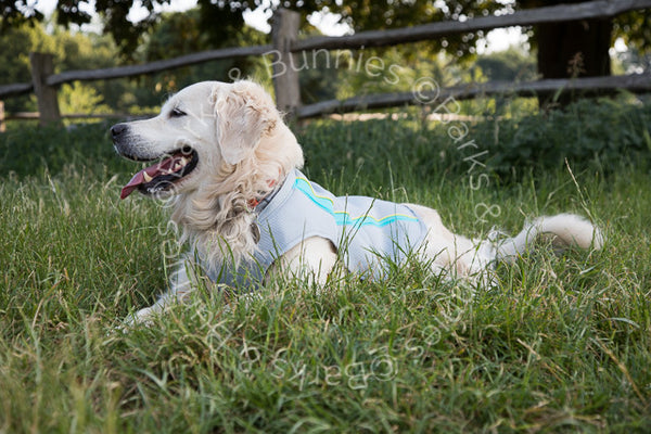 Ruffwear Swamp Cooler Review 2017, Dog Cooling Coat | Barks & Bunnies