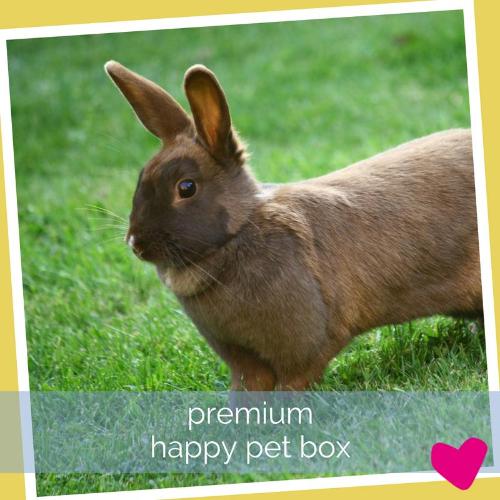 pet boxes uk