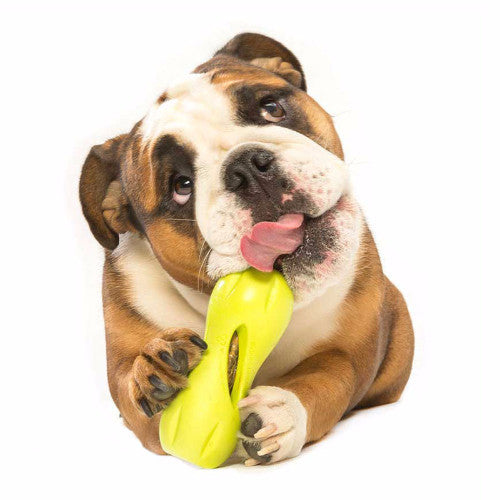 interactive dog toys uk