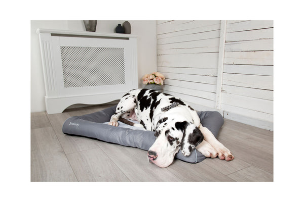 giant dog bed