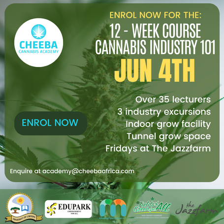 12-week Cannabis Industry 101 start 4th June