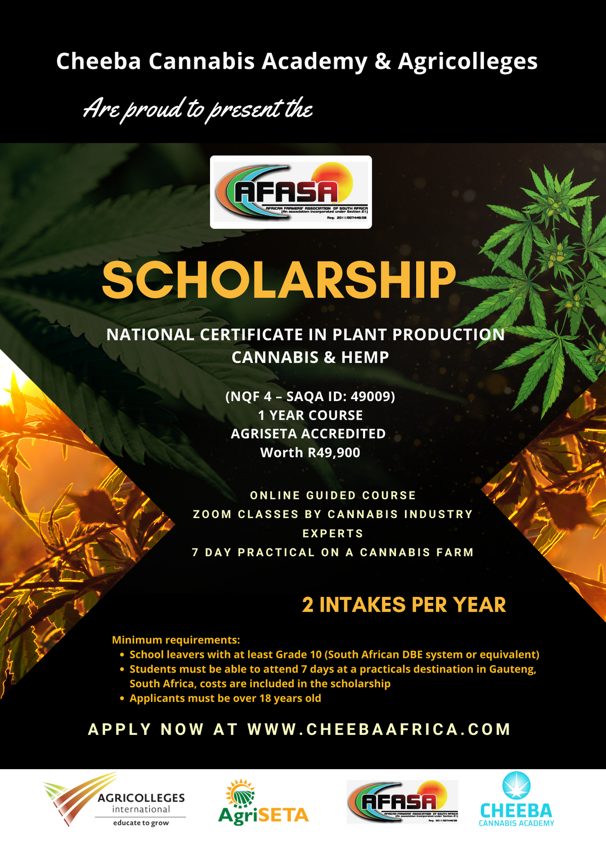AFASA Scholarship Flyer 2024.png__PID:3a98f654-b57f-4405-96f3-5e7a52cdaf51