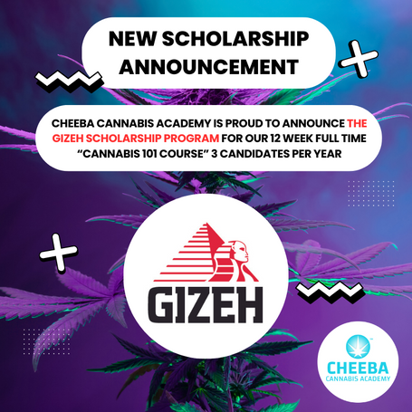 GIZEH Scholarship Announcement  (800 x 800 px).png__PID:0f9b5856-5377-4361-81c7-917769c0d9d6