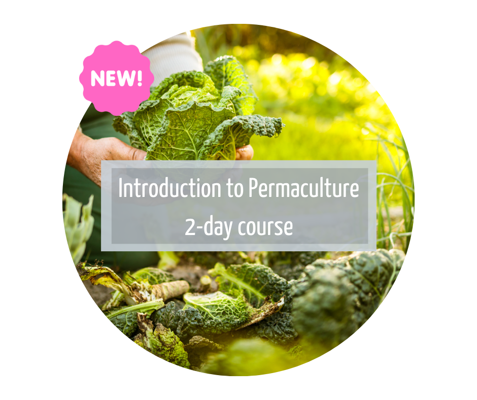 Introduction To Permaculture 2 Day Course