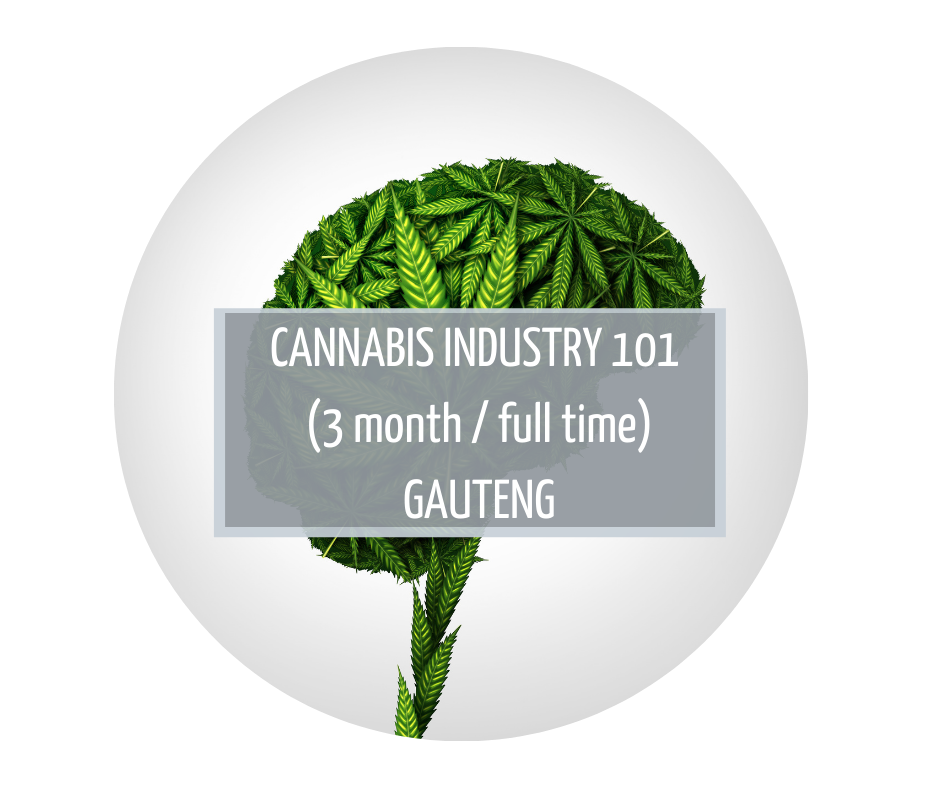 Cannabis Industry 101 Gauteng cannabis education