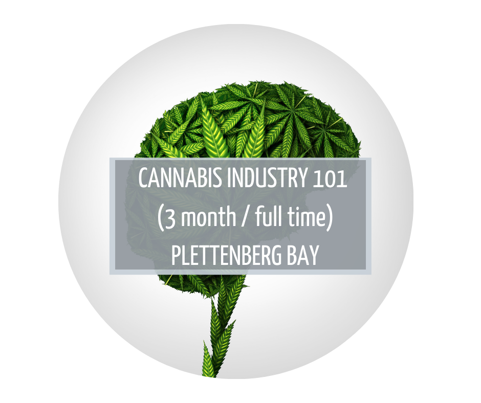 Cannabis Industry 101 Plettenberg Bay cannabis education
