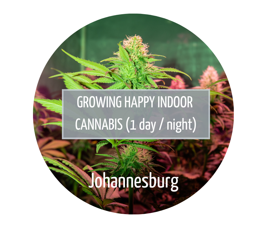 Growing Happy Indoor Cannabis