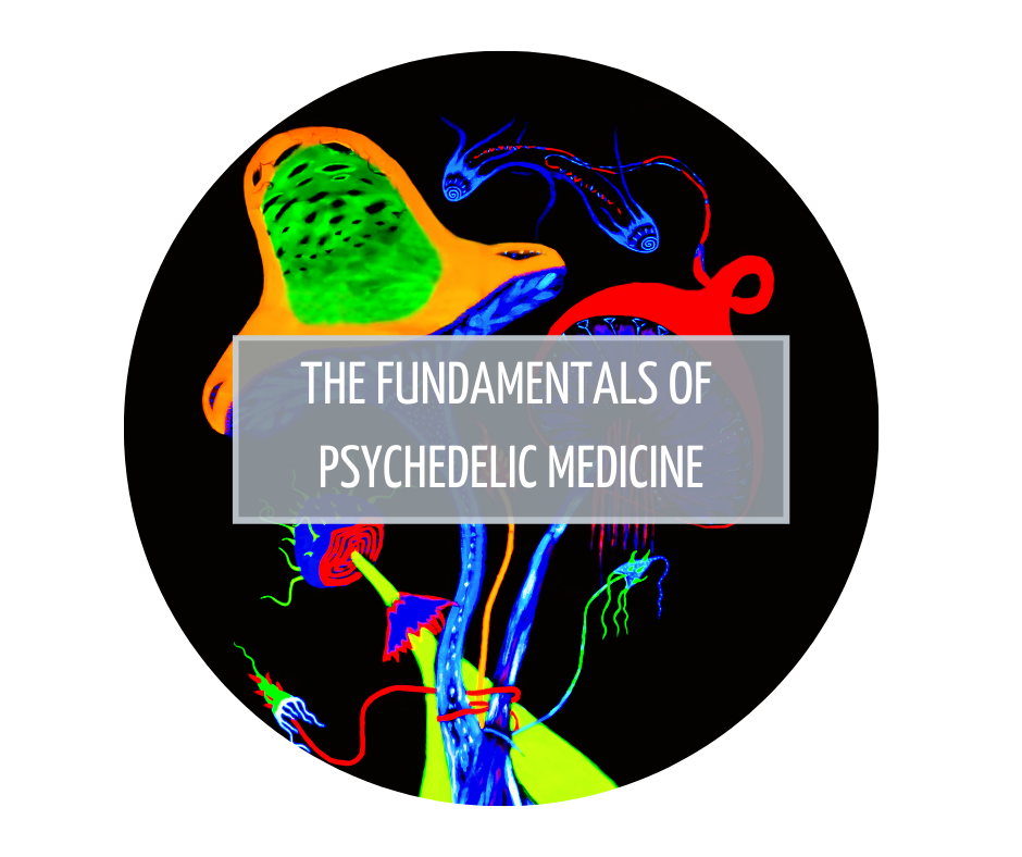 The Fundamentals of Psychedelic Medicine