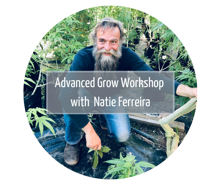 Advanced Grow Workshop with Natie Ferreira