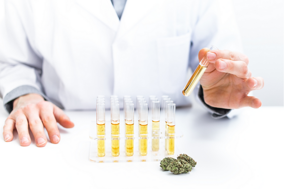 medical cannabis oil