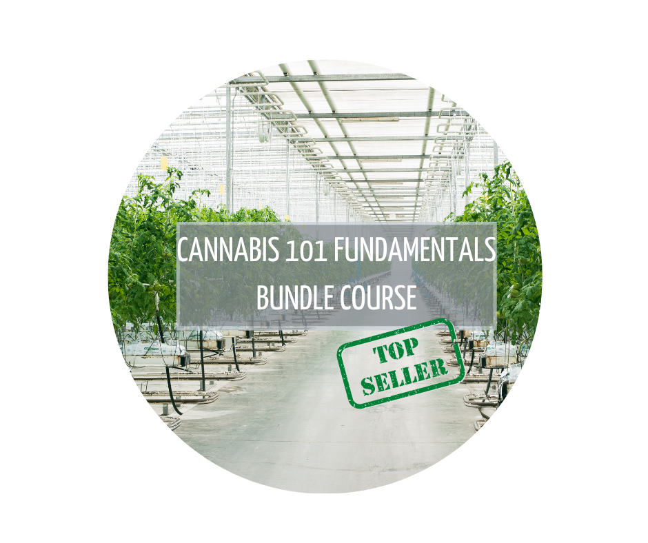 Cannabis 101 Fundamentals Bundle Course