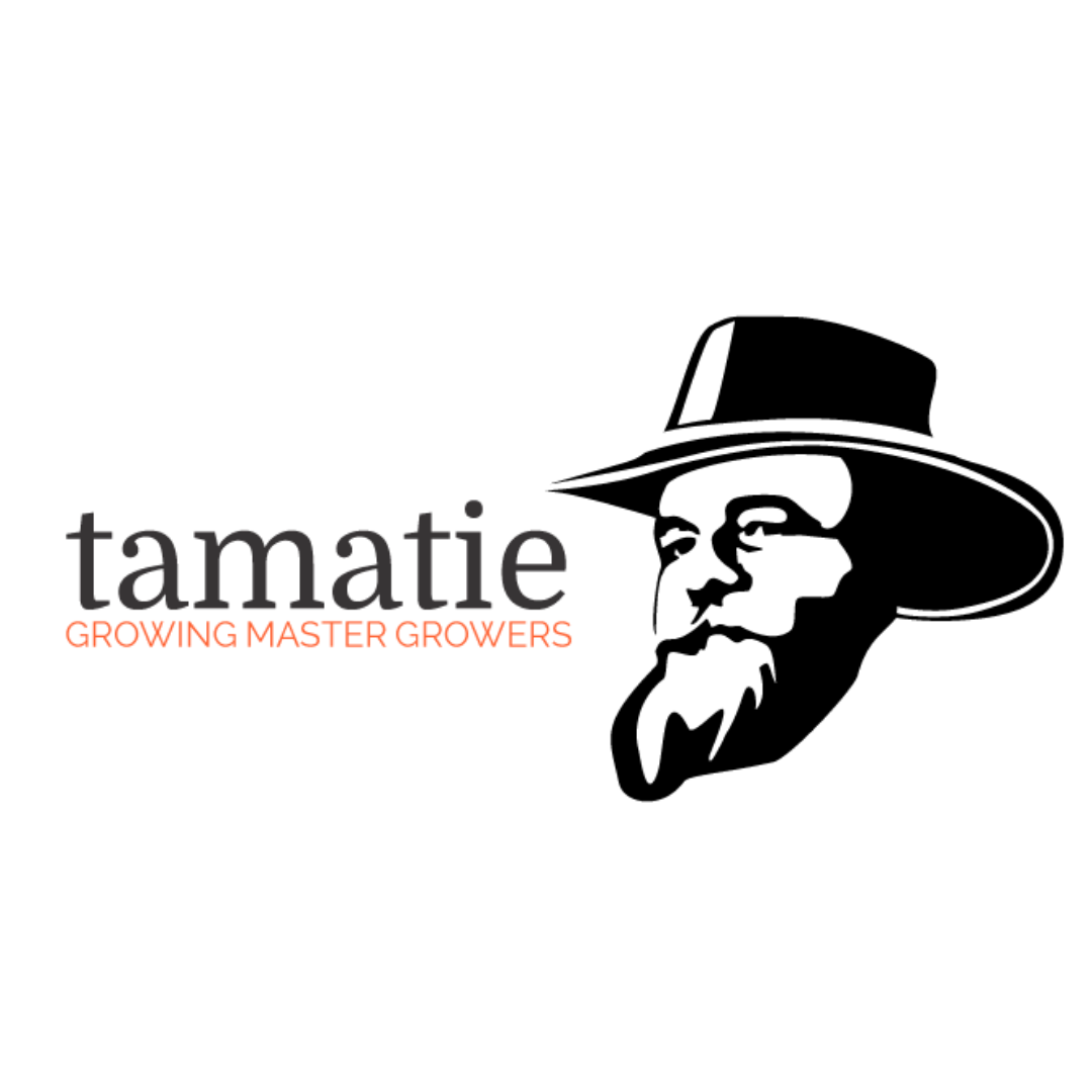 Tamatie Growing Master Growers