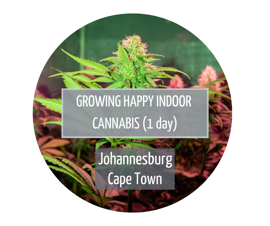 Growing Happy Indoor Cannabis