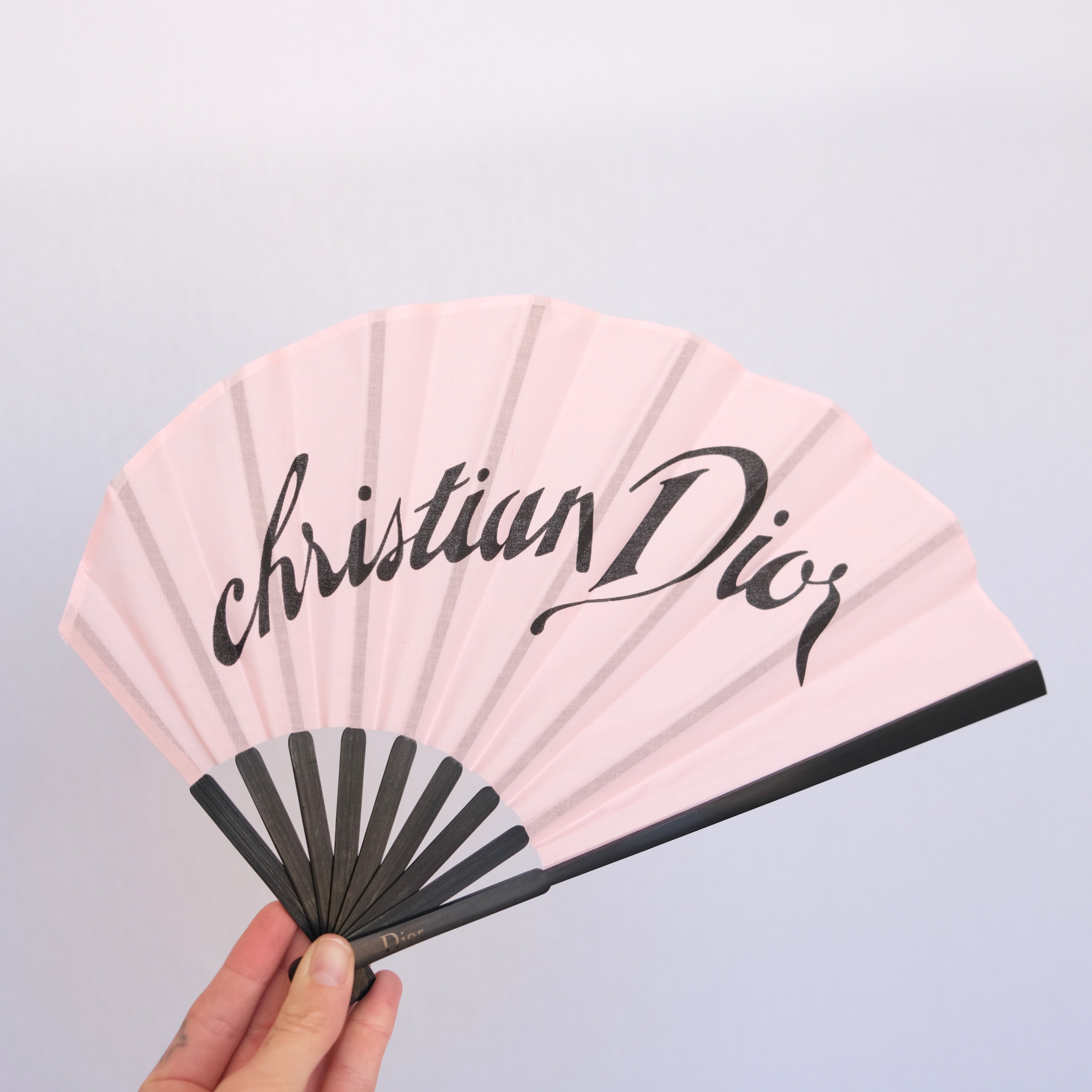 christian dior fan