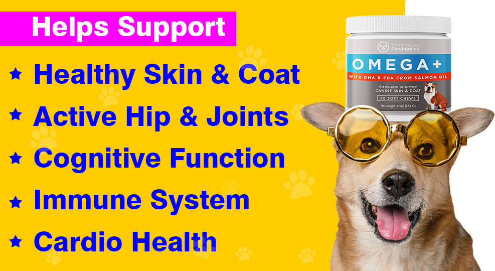 Omega 3 for dogs health benefits