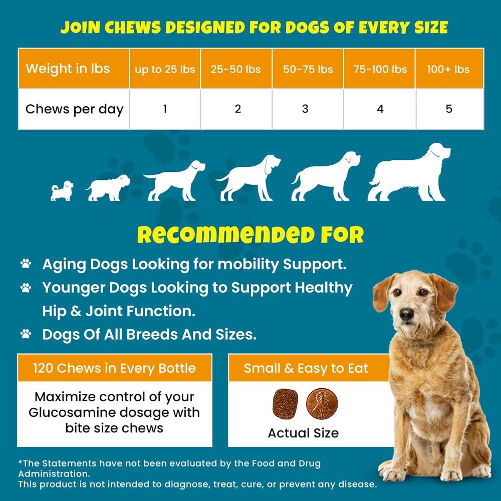 Glucosamine for Dogs + Hemp Mobility – PawMedica