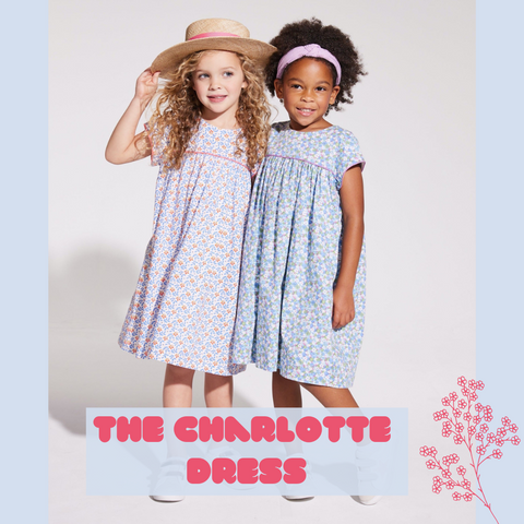 Bisby girls clothing charlotte dress in blue branches and coral vines 
