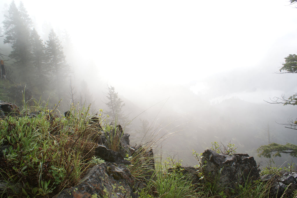Ground Fog