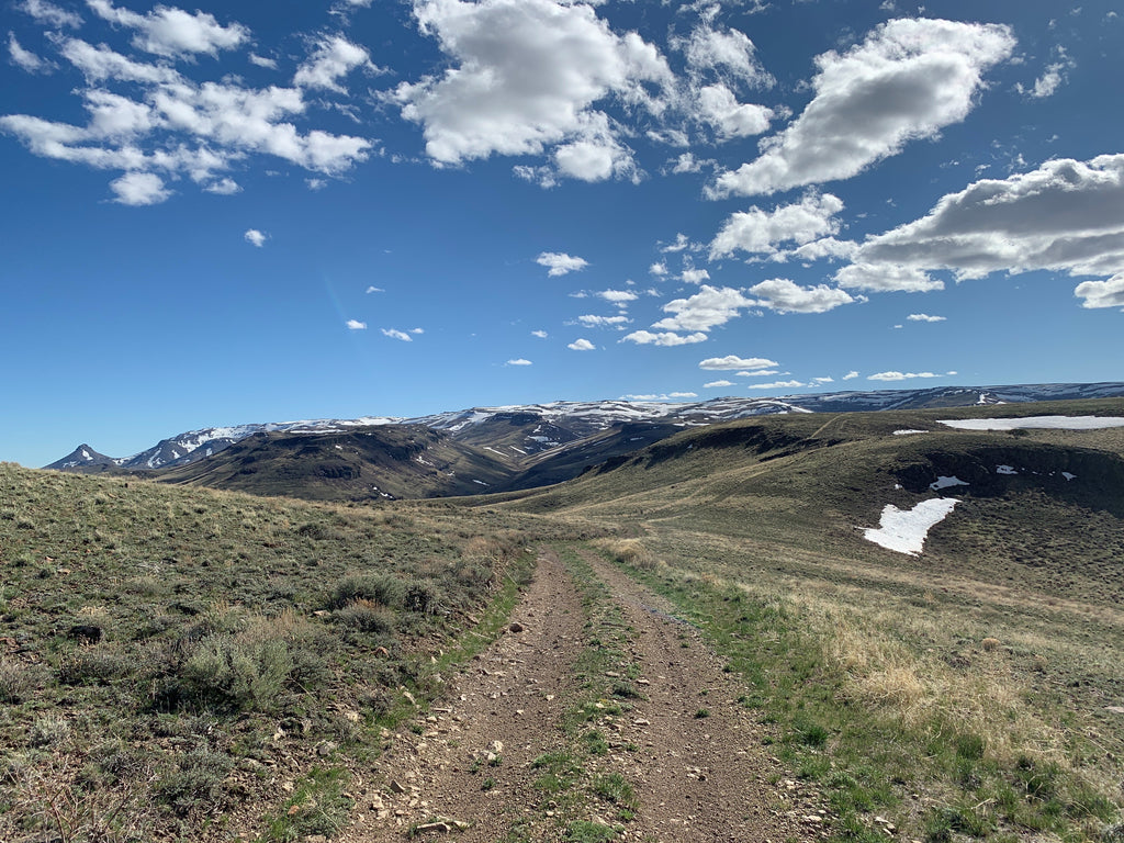 Trout Creek Mountains, Oregon