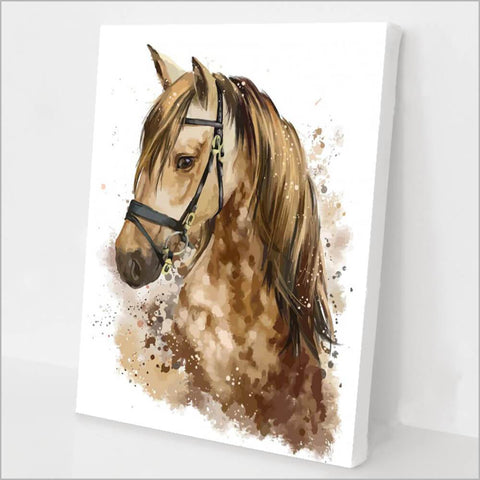 The Horse Paint By Number Kit
