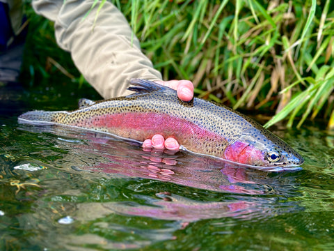 It doesn't get much better than dancing with a Chrome Steelhead in