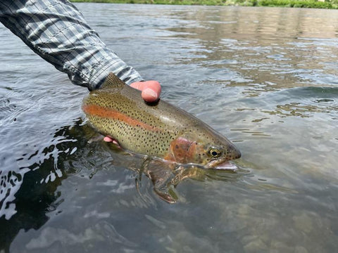 No More Beads on the North Platte River