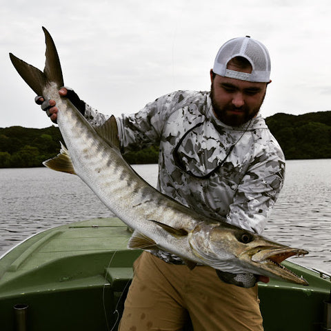 Trevally & Barracuda Fish Cutting Skills/Amazing Fish Cutting Skills/Fast &  Amazing Fish Cutting Way 