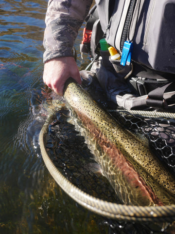 New 3wt delivers on first outing (small stream fishing) : r/flyfishing