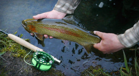 Trout Threads Fly Fishing