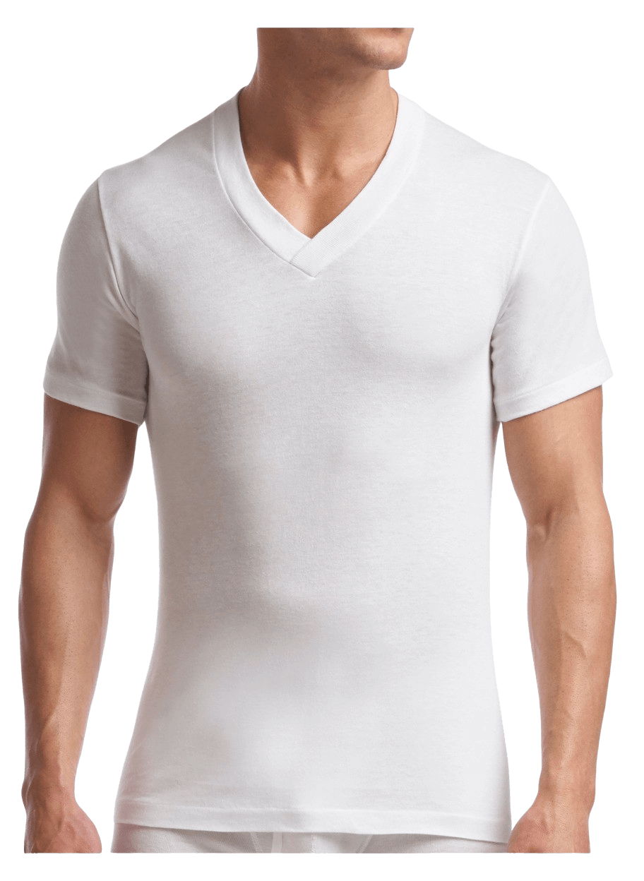 Men's Tall V-Neck T-Shirt Supreme Collection (2 Pack) | Stanfields.com ...