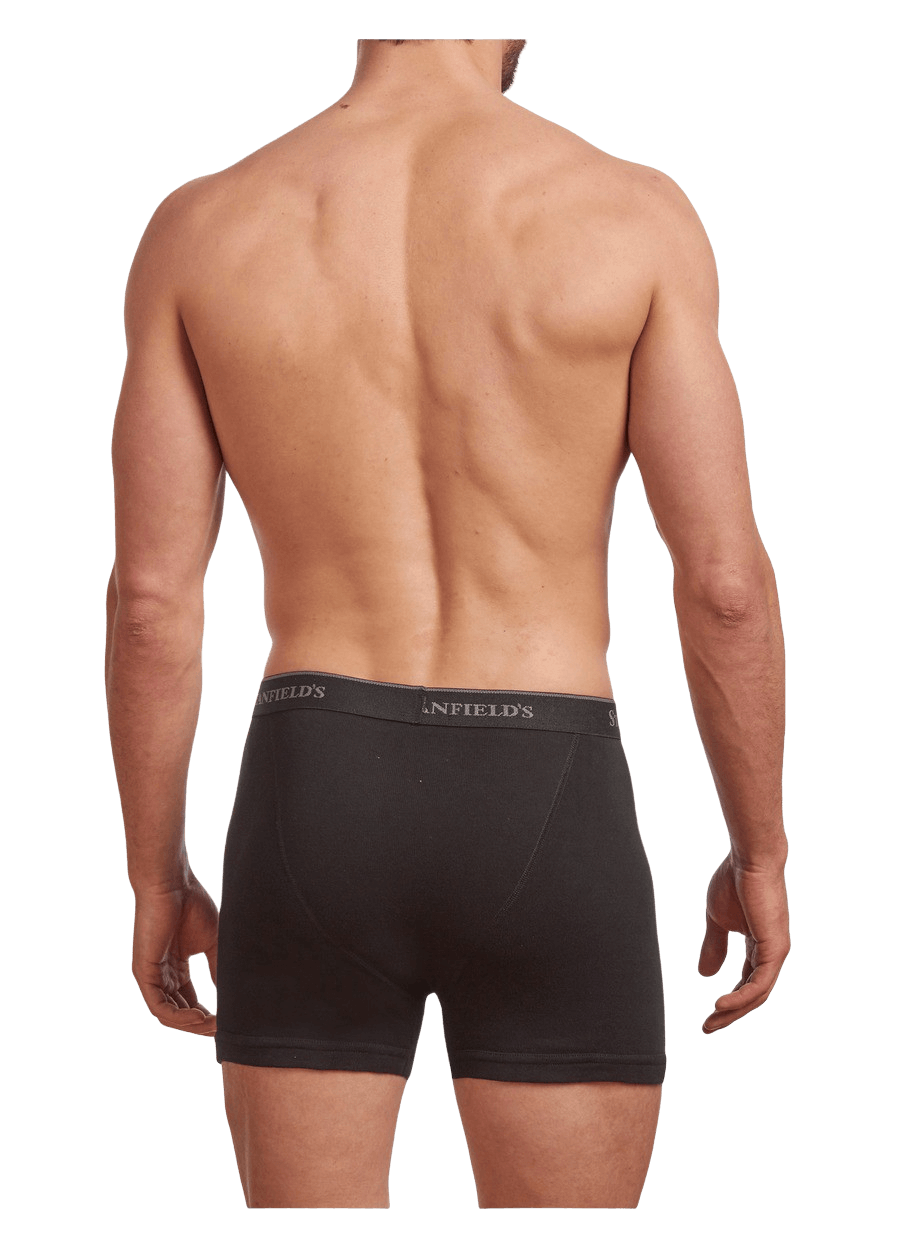 Stanfield's Dryfx Performance Brief Underwear Black – CheapUndies