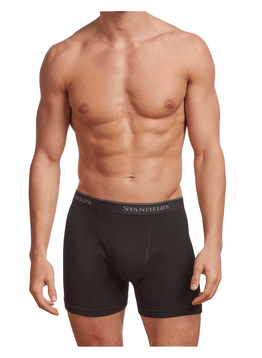 Standfield's Men's 6-Pack Cotton Brief Underwear (Medium, Black) :  : Clothing, Shoes & Accessories