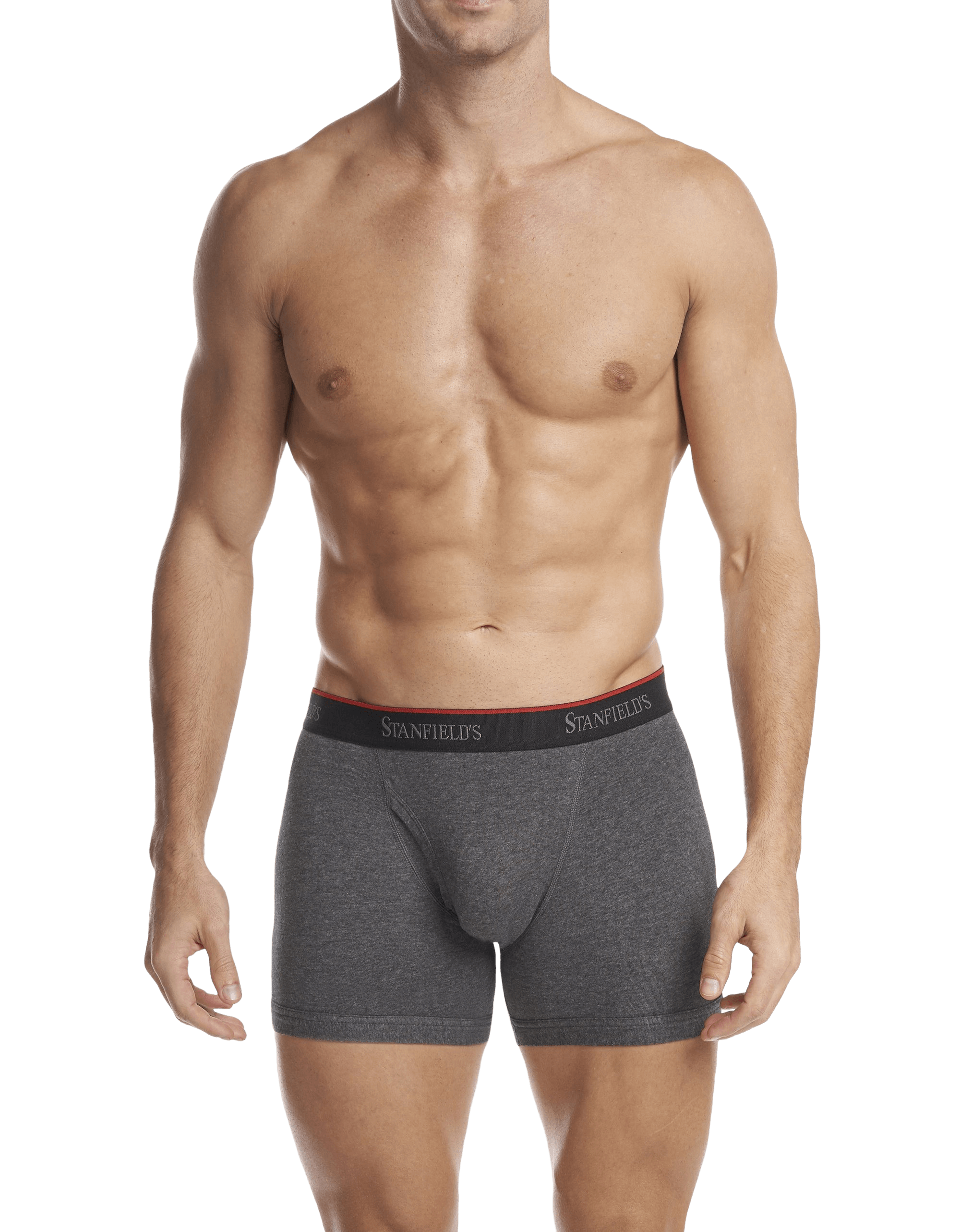 Stanfield's Men's Premium 100% Cotton Brief Underwear - 3 Pack