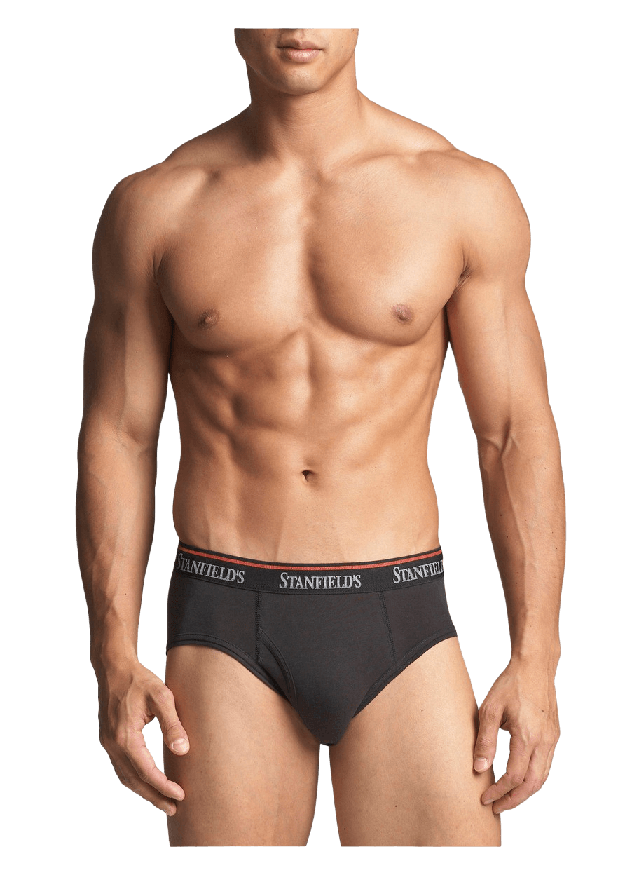 Stanfield's Men's Classic Combed Cotton Briefs Grey S, 6 units