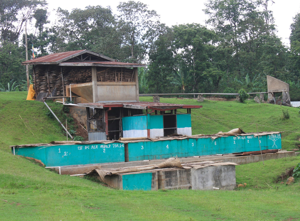 Photo of the Idido washing station in Ethiopia.