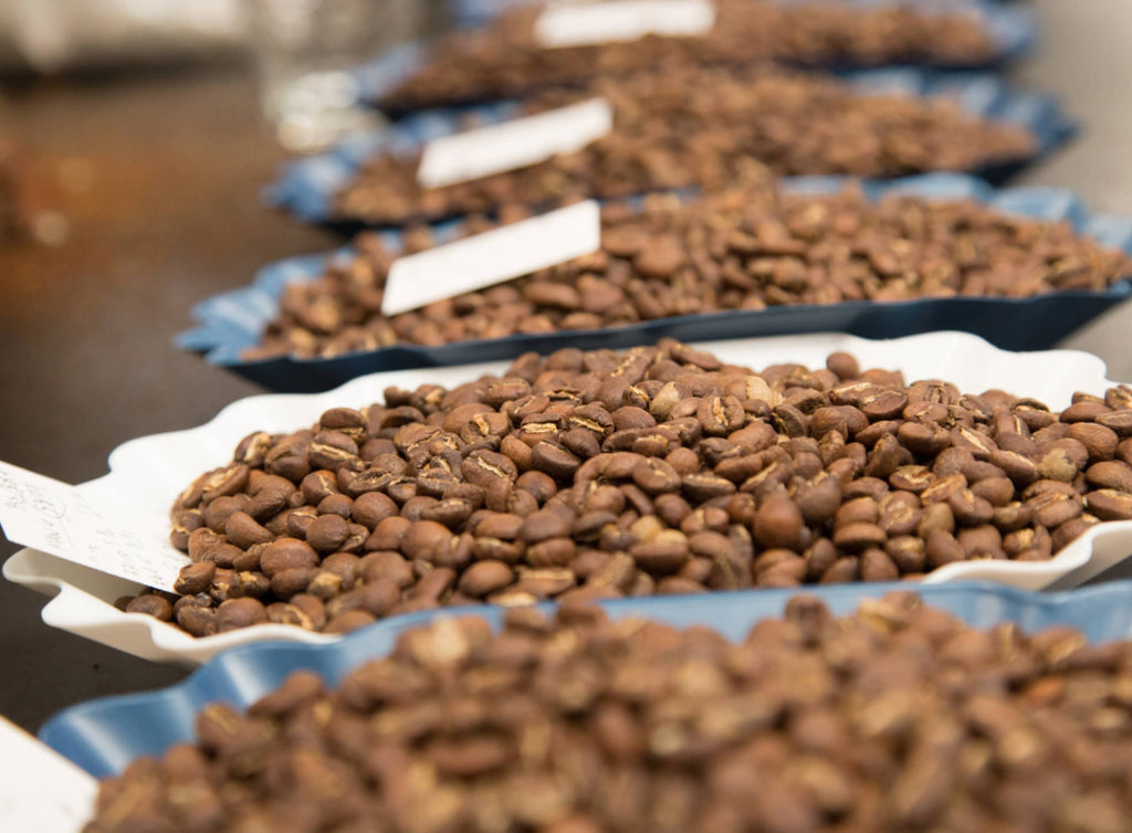 Photo of roasted coffee beans in various testing vessels.