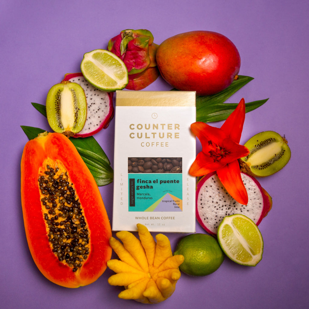Top-down photo of a box of Finca el Puente gesha coffee surrounded by tropical fruits.