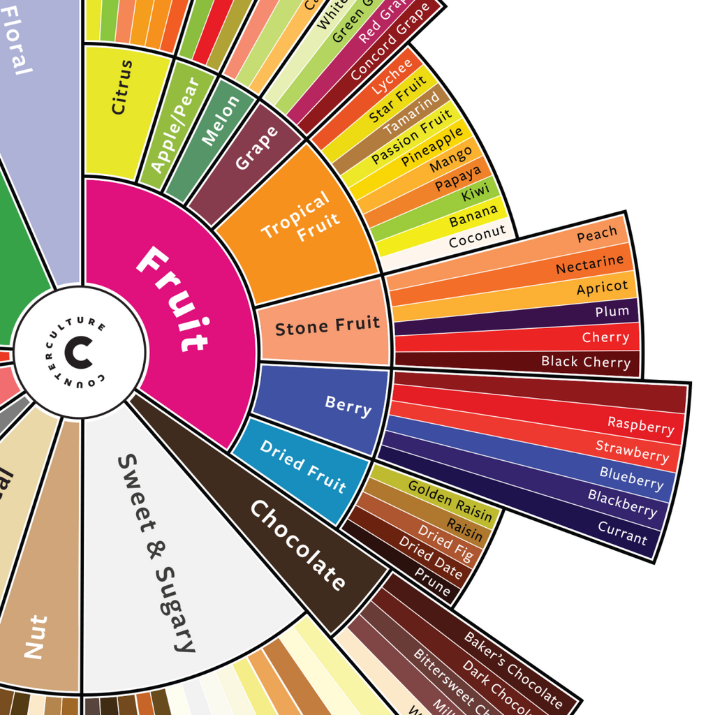 Photo of the Counter Culture Coffee Taster's Flavor Wheel