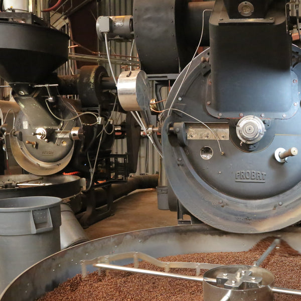 Photo of coffee in the cooling tray of a roaster at Counter Culture Coffee.