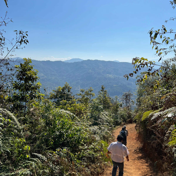 Photo of the mountainous coffee growing region in Guatemala.