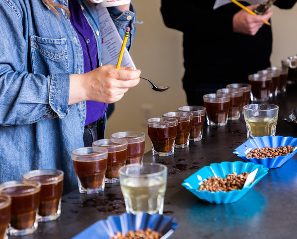 Photo of a coffee cupping at Counter Culture Coffee as part of the World Coffee Research International Multilocation Variety Trial (IMLVT)