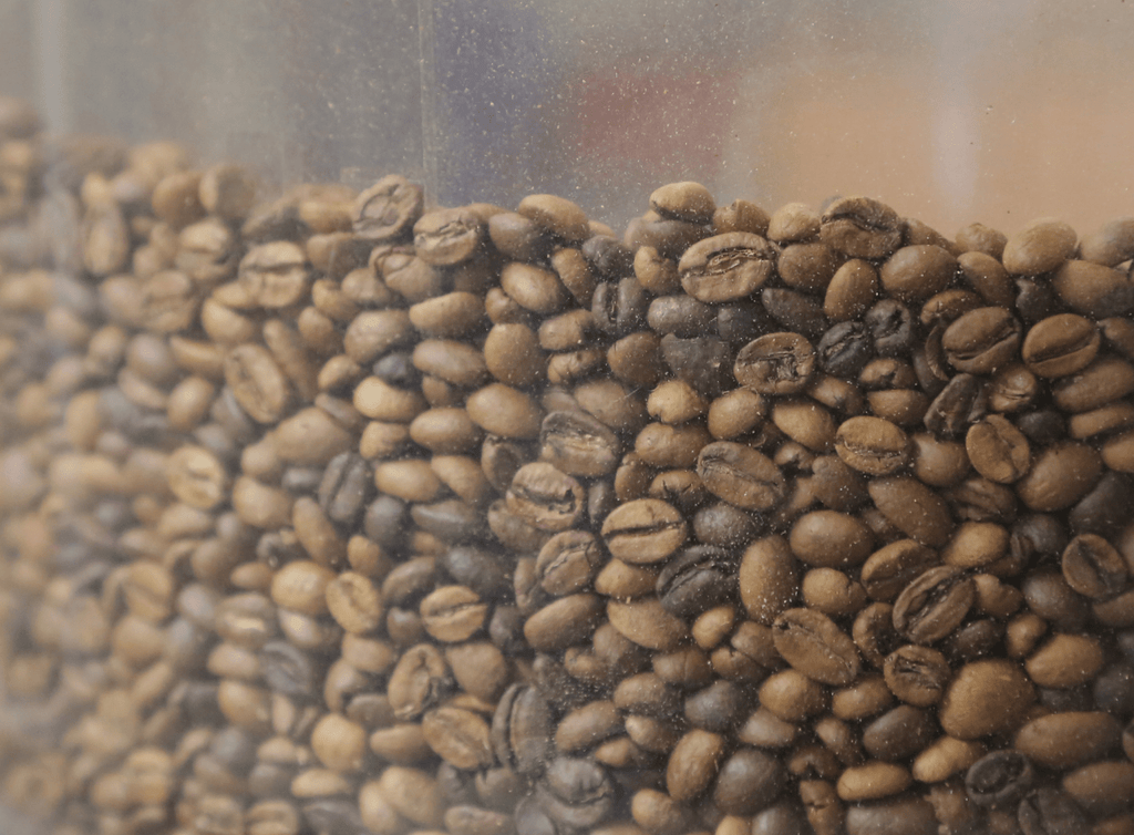 Photo of roasted coffee beans in a clear container.