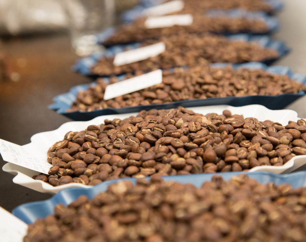 Photo of different roasted beans lined up in trays.